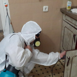 Дезинфекция от муравьев в квартире в Цимлянске