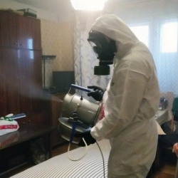 Дезинфекция от клопов в Цимлянске