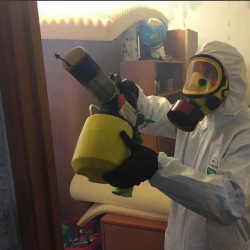 Уничтожение клопов в квартире. Цимлянск